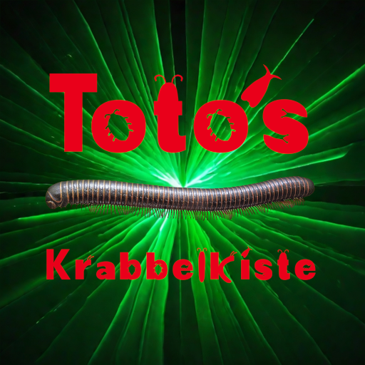 Toto's Krabbelkiste
